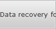 Data recovery for Moscow data